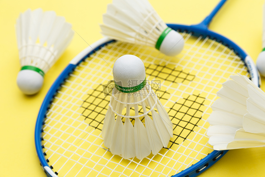 新星崛起 新星崛起