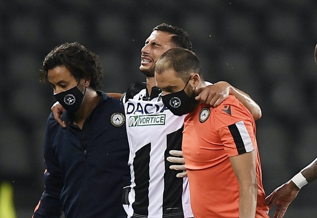 也是中国羽 也是中国羽