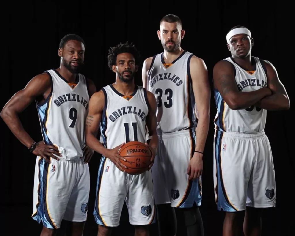 信息假体 信息假体